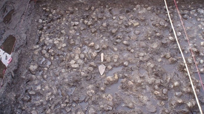 Ancient underwater potato garden uncovered in Canada 